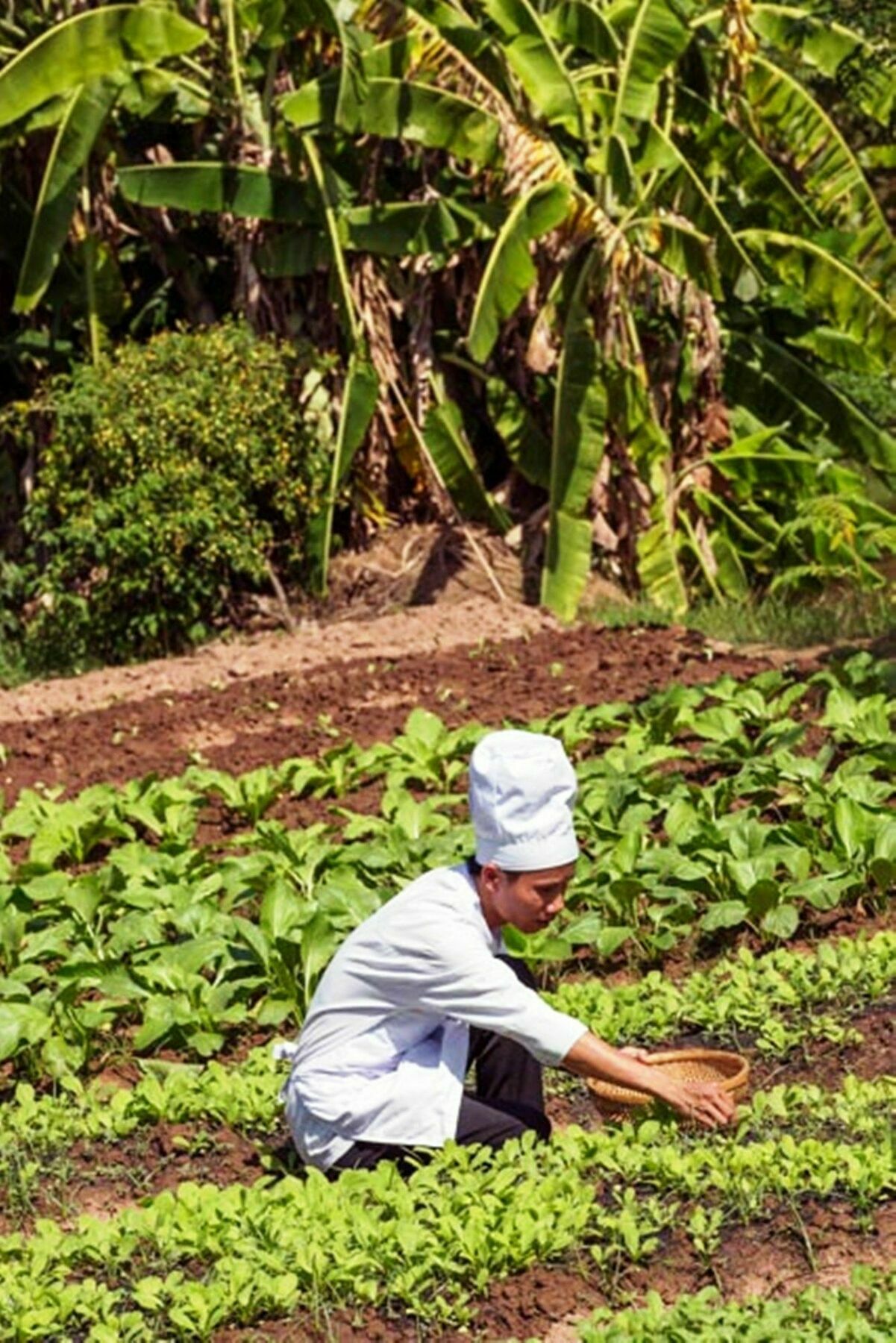 Mekong Riverside Boutique Resort & Spa Cai Be Zewnętrze zdjęcie